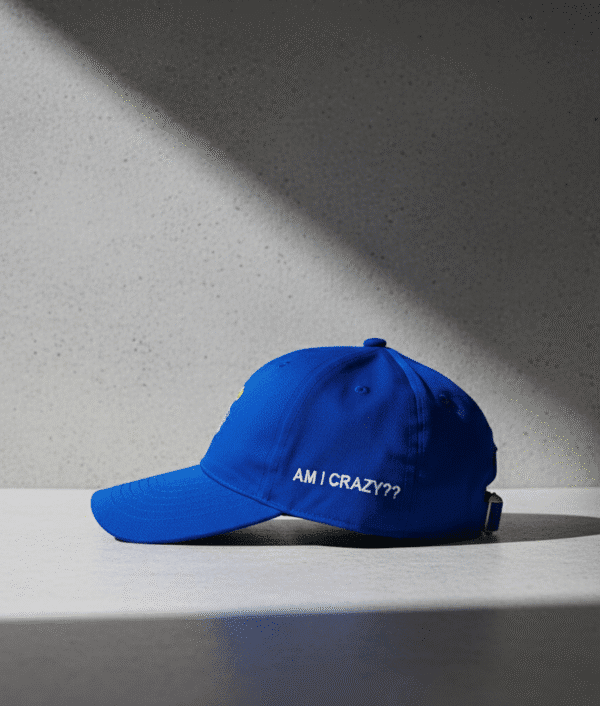 Funky Pup -  Premium Playful Streetwear Hat